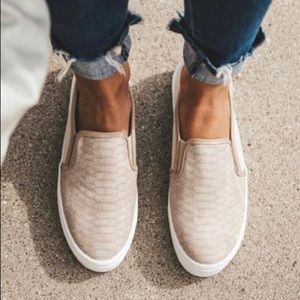 Taupe Peyton Snakeskin Sneakers